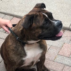 Meet your Posher, Stefanie